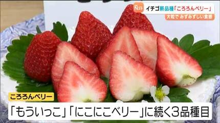 断面がハートになるイチゴ新品種「ころろんベリー」誕生 他県との競争