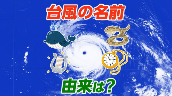 台風14号（クジラ）が発生　2026年初めて日本が提案した名前の台風に　他には「ヘビ」「コト」「トケイ」など・・・由来は何？気象庁の担当者に聞いてみた【台風の名前140個全リスト掲載】|TBS NEWS DIG