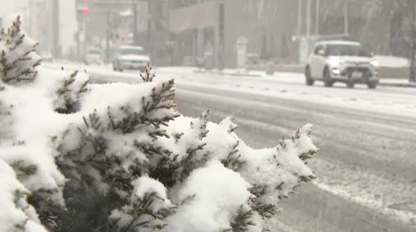 【大雪情報】長野県中部・南部に大雪警報…10日夜遅くにかけ大雪に警戒、国道19号・20号一部区間で通行止め|TBS NEWS DIG