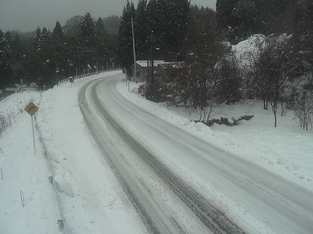 【雪の影響】国道359号でスタック車両が発生し通行止めに　再開のメドたたず　富山　|　富山のニュース｜天気・防災｜チューリップテレビ