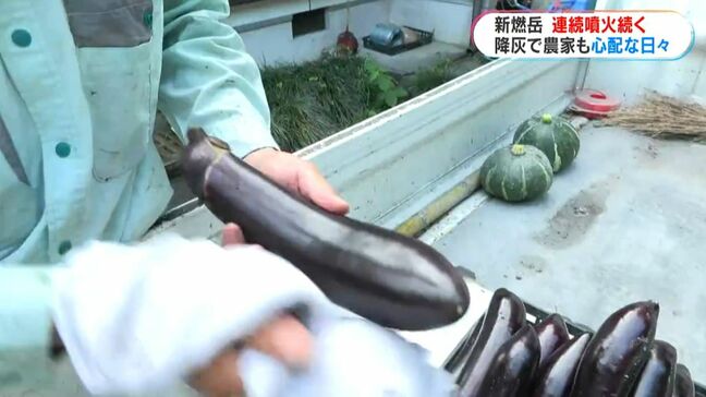 新燃岳の影響続く 旬のナス拭いてる間にまた降灰… やっかいな灰に農家もひと苦労 鹿児島|TBS NEWS DIG