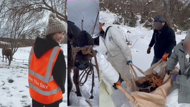 紗栄子さん【能登半島地震】被災した牧場の苦境を伝える「27頭の和牛をやむを得ず放牧」「乳牛も断水で生乳を出荷できず、手放す」【Think The DAY】|TBS NEWS DIG