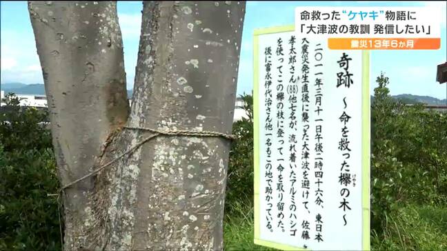 「自然災害は想定したものを超えて人を襲ってくる」1本のケヤキが住人8人の命を救った奇跡とは|TBS NEWS DIG
