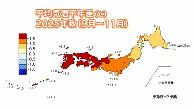 【2025年の秋まとめ】今年の秋はかなり気温が高かった　奄美・沖縄は過去最も気温が高い秋　この冬は一転、冬らしい寒さ|TBS NEWS DIG