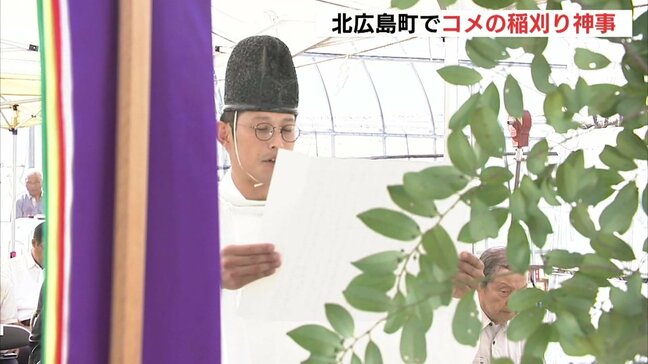 「例年になくいいコメ」北広島町で宮中行事「新嘗祭」に献上するコメの稲刈り神事 広島|TBS NEWS DIG