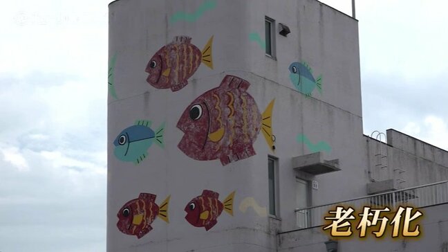 老朽化の魚津水族館　企業版ふるさと納税活用して外壁の修理　目標金額2500万円に設定|TBS NEWS DIG