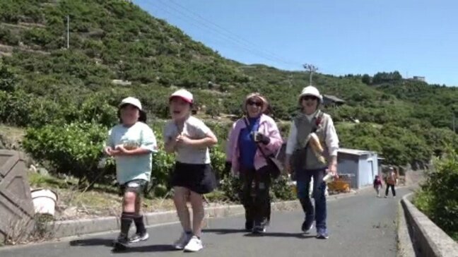 ミカンの段々畑をウォーキング 7年ぶりに復活 愛媛県・八幡浜市|TBS NEWS DIG