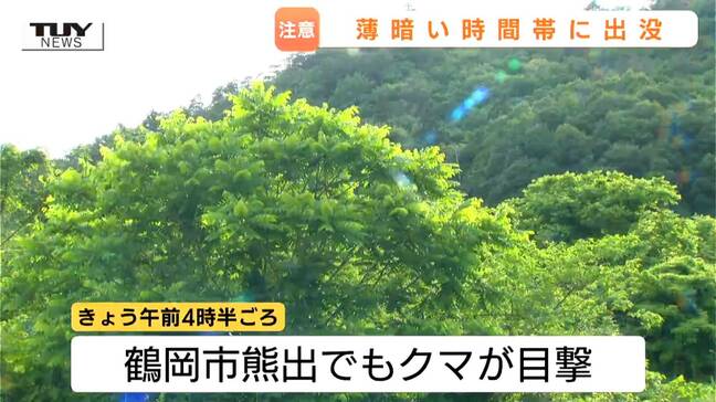 きょうも朝早くから目撃相次ぐ クマが活発に動く早朝や夕方など特に注意(山形)|TBS NEWS DIG
