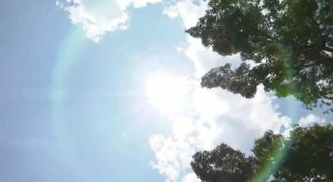 公園の駐車場で車のカギが開かなくなり…車内に一時閉じ込められる　1歳女児が熱中症の疑い　命には別状なし　長野県内は11地点で猛暑日　長野・木島平村|TBS NEWS DIG