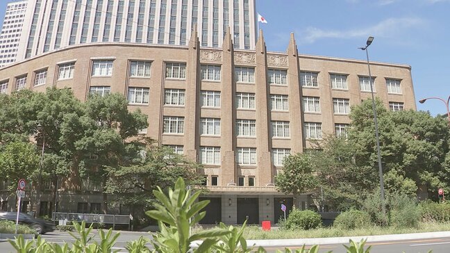 特定分野の才能持つ“ギフテッド”の小中学生 通常授業で別課題 「特例」で大学や研究機関の授業を受講可能に 文科省が中教審に制度案示す|TBS NEWS DIG