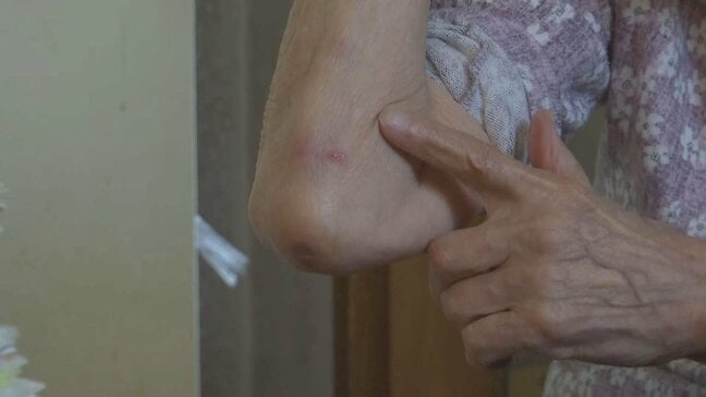 新聞を取ろうと玄関を開けたら目の前にクマ 80代の女性が驚いて転倒し、ひじに軽いけが 秋田・由利本荘市|TBS NEWS DIG