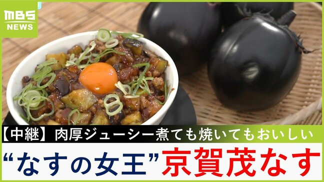 “なすの女王”は肉に勝る甘味&うまみ!?「京賀茂なす」で作る肉厚とろとろな『麻婆なす丼』 京都・北区【川地洋平の最旬!丼マン】|TBS NEWS DIG