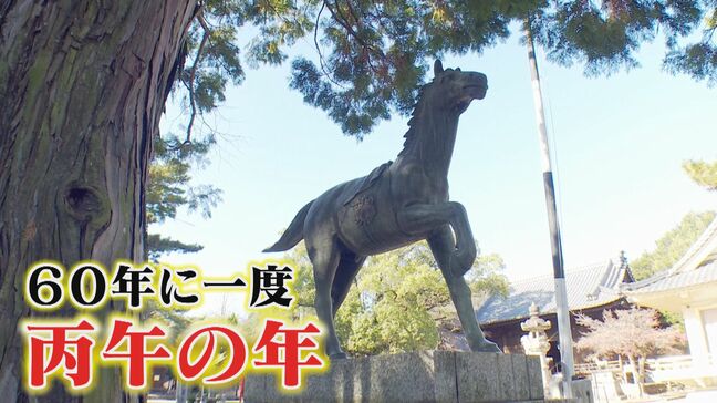馬の神社で運気アップ!?ラッキーカラーの“福グルメ”も!2026年に訪れるべき東海地方の“開運スポット”とは|TBS NEWS DIG