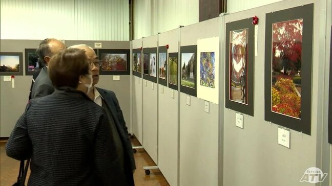 「八戸公園」の四季折々の風景映し出す　緑の相談所で毎年恒例の写真展　青森県八戸市|TBS NEWS DIG