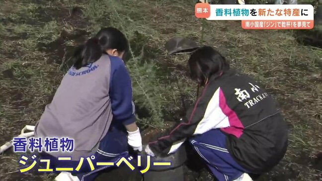 南小国産ジンで乾杯! を夢みて 香料植物を特産化へ 地元住民たちが植樹祭|TBS NEWS DIG