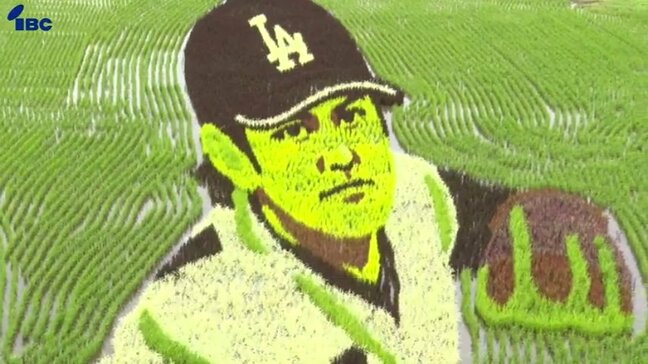 「ハッピーバースデー・ディアショーヘイ♪」大谷翔平選手32歳の誕生日を田んぼアートで祝う 岩手・奥州市|TBS NEWS DIG