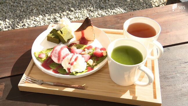 静岡で「ヌン活」!「するがヌーン茶」が32店舗でスタート 抹茶ブームで煎茶は“高騰”...お茶の魅力再発見へ|TBS NEWS DIG