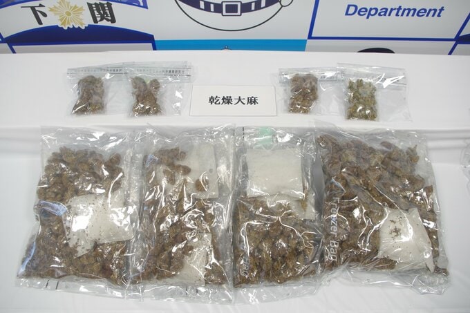 大麻“１１３０回分”さらに麻薬成分デルタ９－ＴＨＣにＭＤＭＡも営利目的で所持か　住居不定・無職の男（１９）を逮捕　山口・下関|TBS NEWS DIG