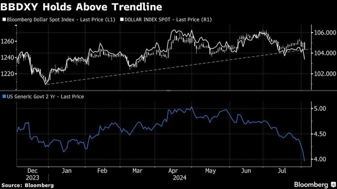 円の上昇加速、対ドルで一時146円台－米雇用統計で９月利下げ確実視