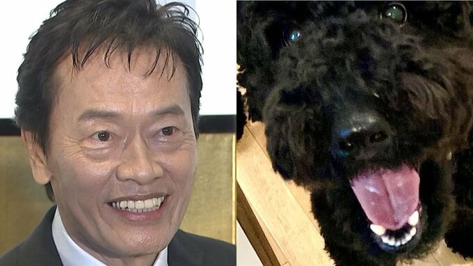 【 いぬ 】遠藤憲一さんの愛犬クロミ「観察してると楽しい」　ソファ占領＆クッション破壊にフォロワー「うちもかじります」|TBS NEWS DIG