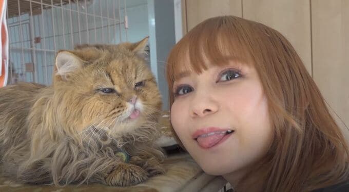 【中川翔子】多頭飼育崩壊・111頭の猫たちは譲渡を経て残りおよそ40数頭に　 ”失明の猫たちも共に暮らせる” 救済を呼びかける　義援金は420万円に【相模原市で譲渡会】|TBS NEWS DIG