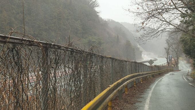 逆走車の影響か　高速道路で大型トラック２台が衝突する事故　山口県美祢市|TBS NEWS DIG