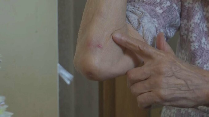 新聞を取ろうと玄関を開けたら目の前にクマ　80代の女性が驚いて転倒し、ひじに軽いけが　秋田・由利本荘市|TBS NEWS DIG