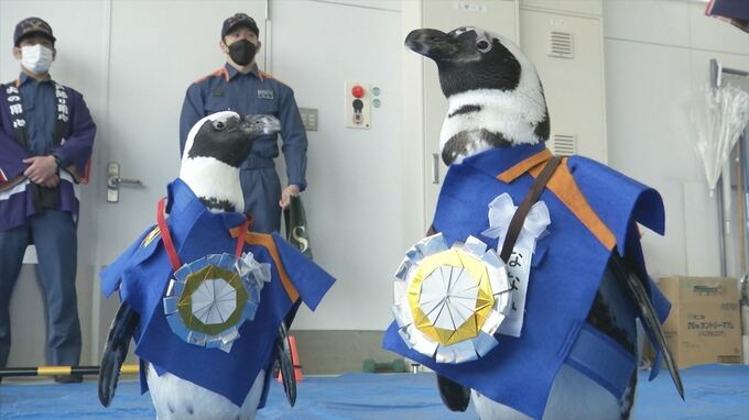 ペンギンもヒーローも火の用心　春の全国火災予防運動　園児らも防火訓練　|　BSSニュース | BSS山陰放送