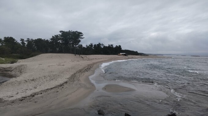 日本海の海岸で身元不明の遺体見つかる　鳥取県・米子市|TBS NEWS DIG
