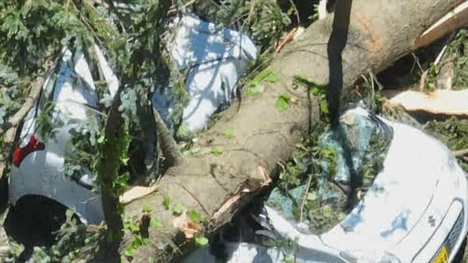 「すごい音がした瞬間に…屋根に木が刺さっていた」突風で倒木の下敷きか　70代男性が死亡　|　山梨のニュース | ＵＴＹテレビ山梨