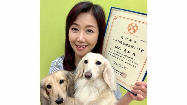 img_5e4e2848d26386059c43031dda