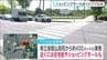 クマの目撃情報　ショッピングモールや住宅街近くの県道で　仙台　|　宮城のニュース│tbc NEWS│tbc東北放送