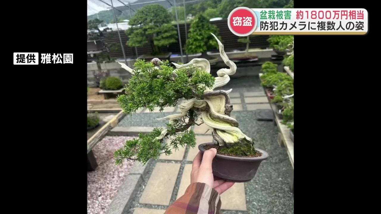 防犯カメラには複数人の姿「被害総額は約1800万円」高価な盆栽33鉢が