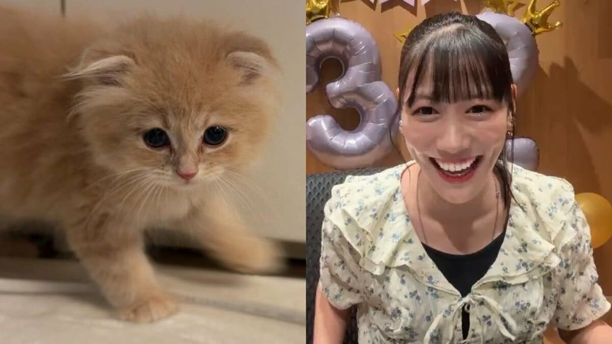 ねこ 】高城れにさん「新しい家族ができました！」「名前はZZ(ダブル