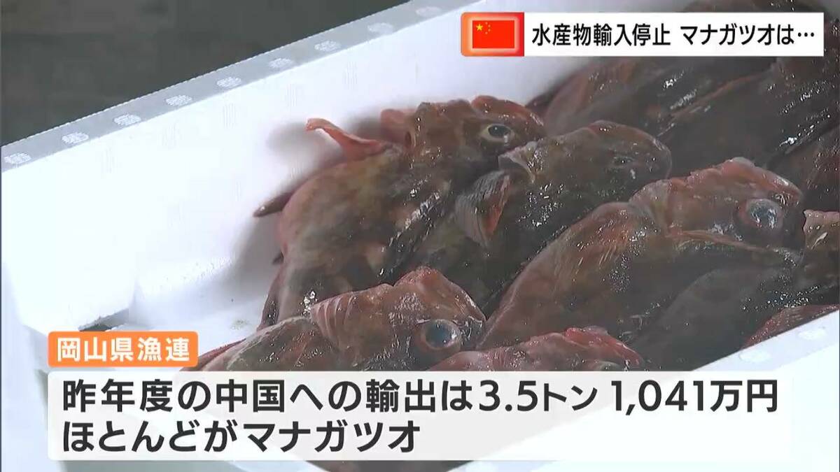 こりゃもう仕方がないんでね」中国が日本からの水産物輸入停止 瀬戸内