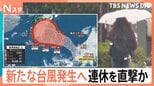 新たな台風発生へ…シルバーウィークに影響が出るおそれ　「実割れしている」長雨で野菜もピンチ【Nスタ】|TBS NEWS DIG