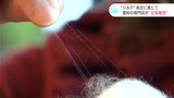 「シルク」を身近に感じて　日常使いできる商品を専門店が販売|TBS NEWS DIG