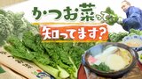 博多雑煮の定番具材「かつお菜」とは～福岡でしか食べられていない？　|　福岡のニュース｜RKB NEWS｜RKB毎日放送