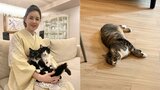 【 ねこ 】藤あや子さんの保護猫「じゃこ天」床暖房に陥落　保護当初の “シャー” が3か月後 “何か？” に|TBS NEWS DIG