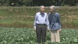 長野・軽井沢町で静養中の上皇ご夫妻がキャベツ畑を散策 大日向開拓地をご訪問|TBS NEWS DIG