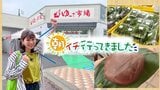 旬の山菜の宝庫「コシアブラ」や「ワラビ」がずらり 20年間愛され続ける入手困難な「笹餅」も発見~道の駅浅虫温泉 ゆ~さ浅虫(青森市)~ | 青森のニュース│ATV NEWS│青森テレビ