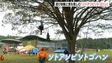 ツリークライミングにアウトドア飯 新潟と言えばキャンプを定着へ!『ソトアソビソトゴハン』|TBS NEWS DIG