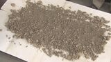 今も遺骨が混じった南部の土砂 辺野古の埋め立てに使用しないよう、新たな条例制定を県に要請 | 沖縄のニュース|RBC 琉球放送