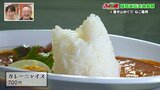 「カレーニャイス!?」毎月22日は「にゃんにゃん」の日 猫祭りを開催【ふくしまSHOW】 | 福島のニュース│TUF