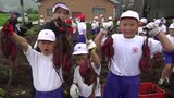 全国有数の「かんしょ」の産地・串間市 地元の小学生が収穫体験|TBS NEWS DIG
