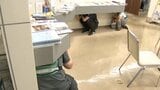地震発生時の鉄則は「まず低く、頭を守り、動かない」　安全を確保するシェイクアウト行動　【9月1日は防災の日】|TBS NEWS DIG