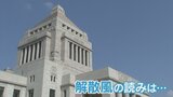 「いつあっても」「行われる事を前提で」与野党の県内組織　解散に向けた準備進める　山梨　|　山梨のニュース | ＵＴＹテレビ山梨