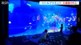 帰省先で二重の喜び「入場2万人目になってデジタル相撲大会でも優勝」思い出に残る夏休みに 新潟市|TBS NEWS DIG