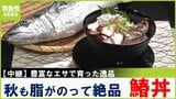 大阪湾の豊富なエサで育つ逸品！魚庭(なにわ)でとれる春を告げる魚「鰆」の絶品丼　大阪・阪南市【川地洋平の最旬！丼マン】|TBS NEWS DIG