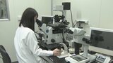 不妊治療受けやすい環境づくりへ 受精卵を扱う胚培養士を育成 山梨大学に高度生殖補助技術センター|TBS NEWS DIG